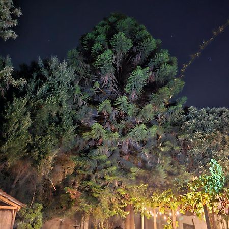 La Araucaria Cabana Con Tinaja 산 펠리페 외부 사진