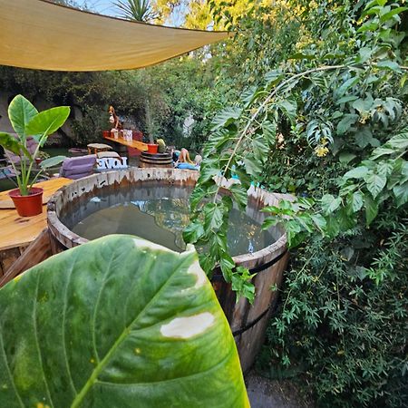 La Araucaria Cabana Con Tinaja 산 펠리페 외부 사진