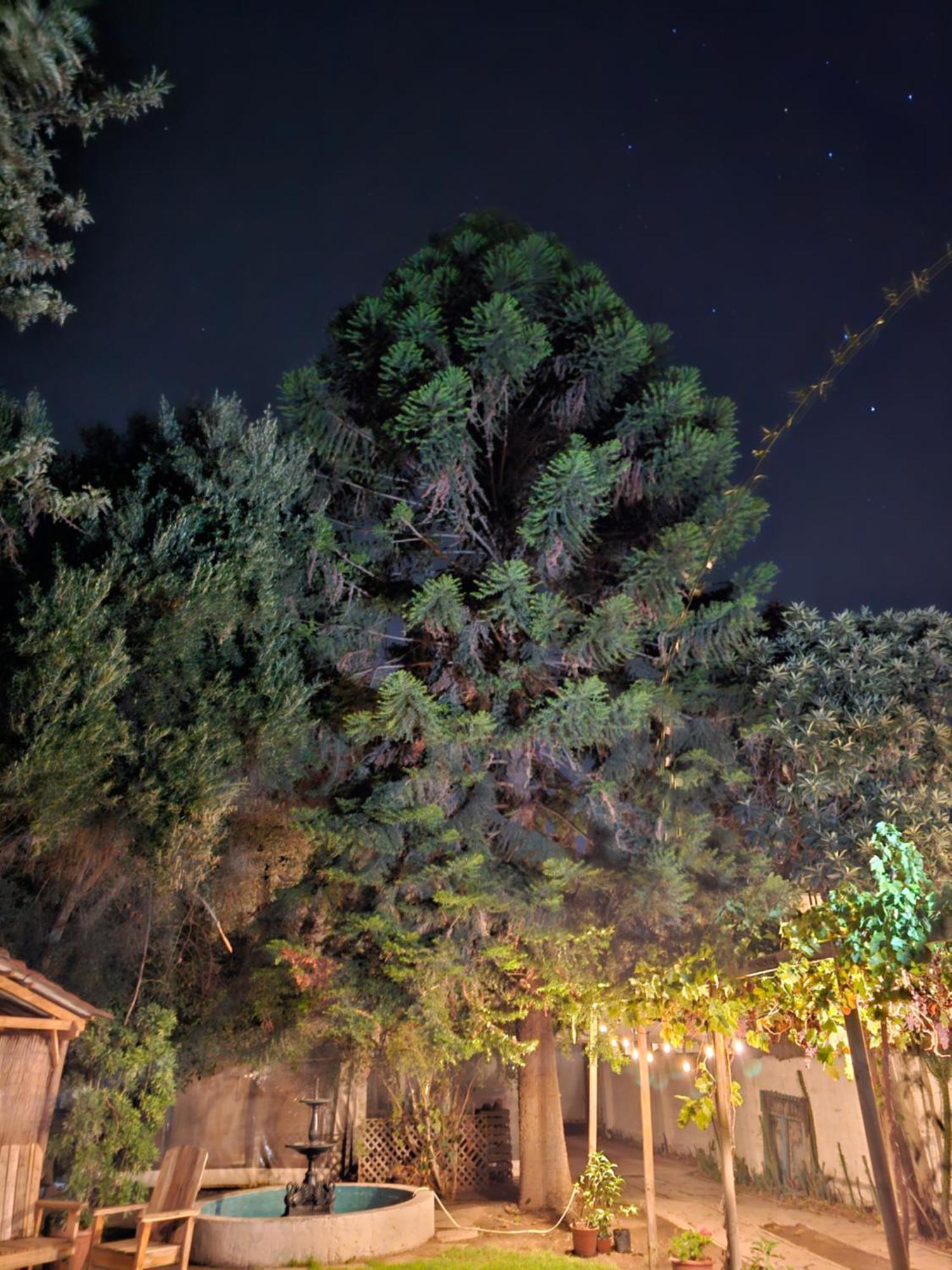 La Araucaria Cabana Con Tinaja 산 펠리페 외부 사진