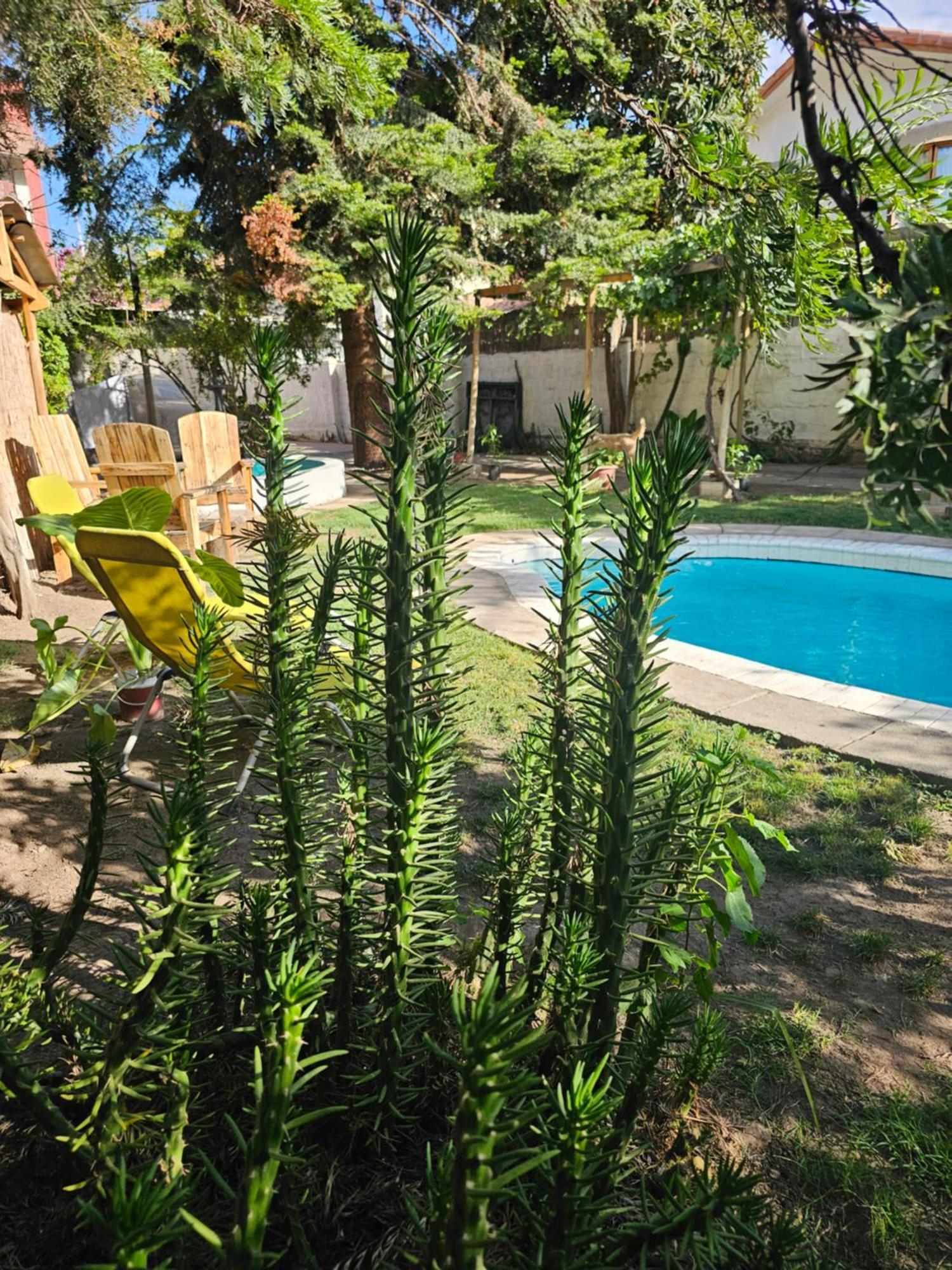 La Araucaria Cabana Con Tinaja 산 펠리페 외부 사진