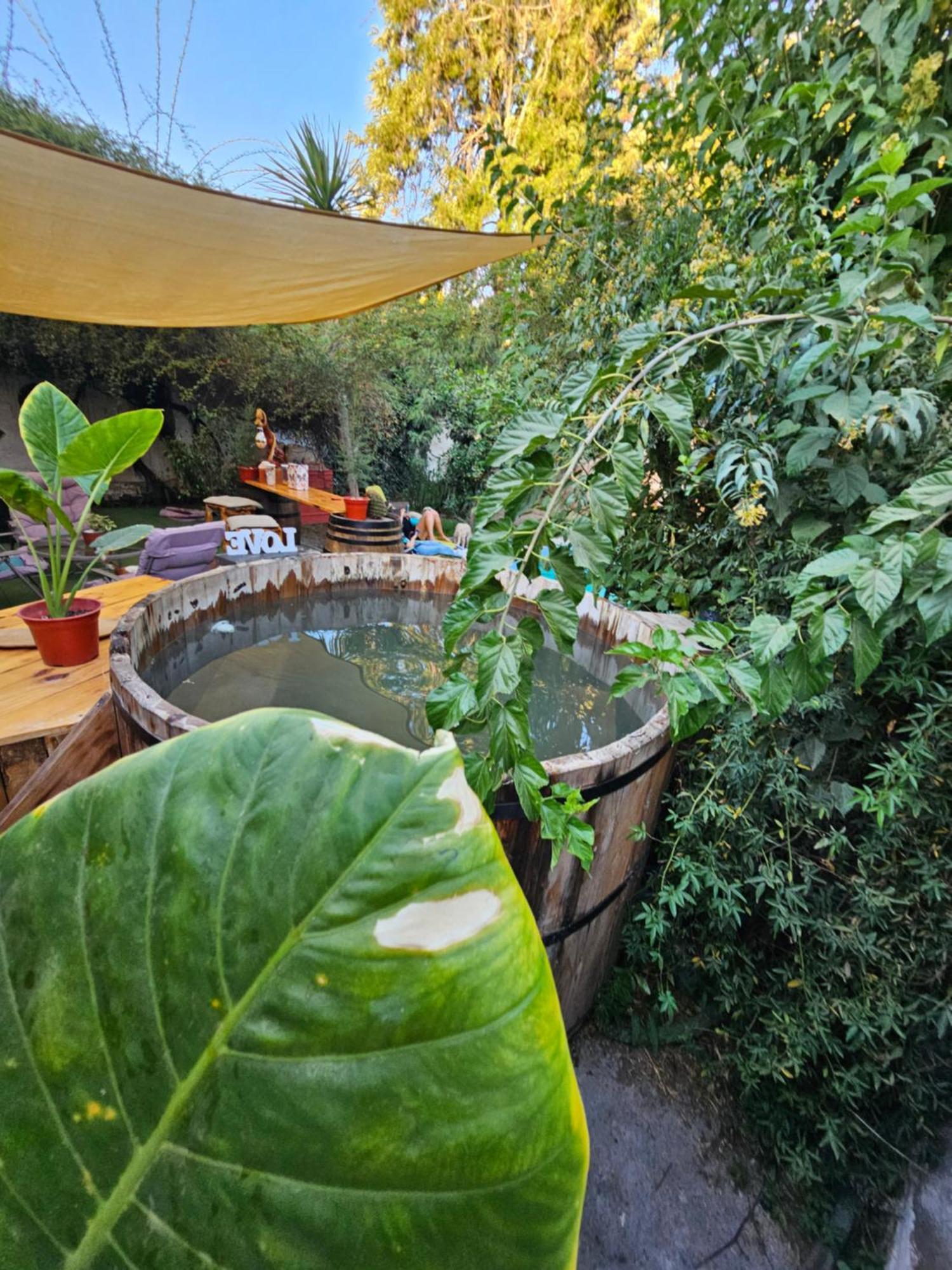 La Araucaria Cabana Con Tinaja 산 펠리페 외부 사진