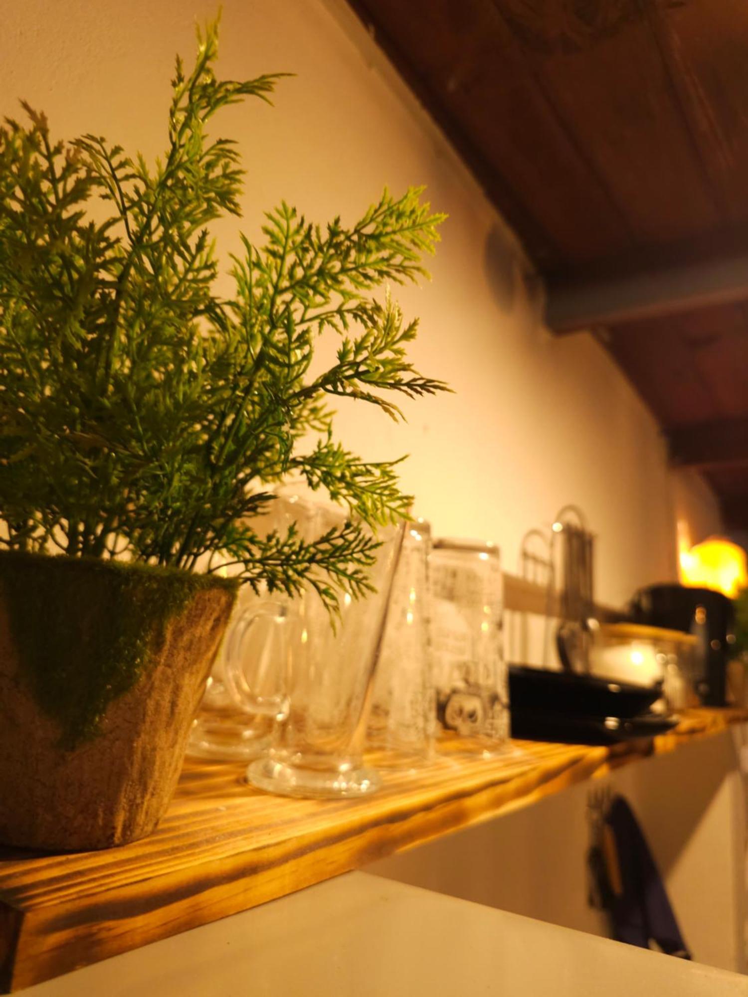La Araucaria Cabana Con Tinaja 산 펠리페 외부 사진